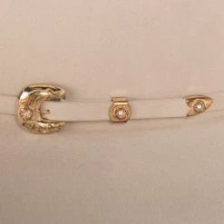 American Hats Silver Belly 1000X American Mink 4-1/4in. Brim Felt Cowboy Hat -Western Cowboy Equipment Store 1000XSBS42 4