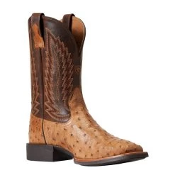 Ariat Men`s Quantum Primo Ranger FQ Ostrich 11` Beam Brown Top Square Toe Boots -Western Cowboy Equipment Store 10040281 3