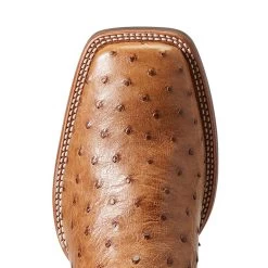 Ariat Men`s Quantum Primo Ranger FQ Ostrich 11` Beam Brown Top Square Toe Boots -Western Cowboy Equipment Store 10040281 4