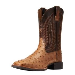 Ariat Men`s Quantum Primo Ranger FQ Ostrich 11` Beam Brown Top Square Toe Boots
