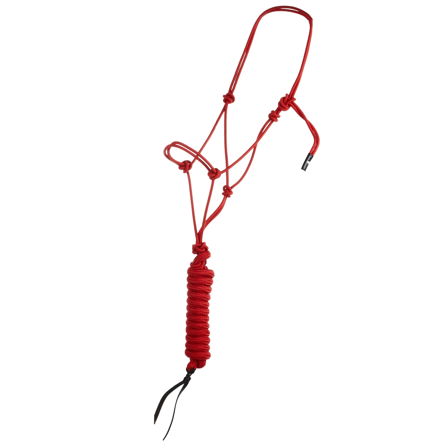 Classic Econo Halter And 9-Foot Leadrope 8 Classic Econo Halter And 9-Foot Leadrope - Image 8