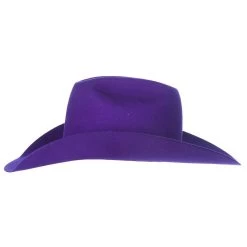 Rodeo King 7X Purple Self Band 4 1/4in. Brim Open Crown Felt Cowboy Hat -Western Cowboy Equipment Store RK457 5