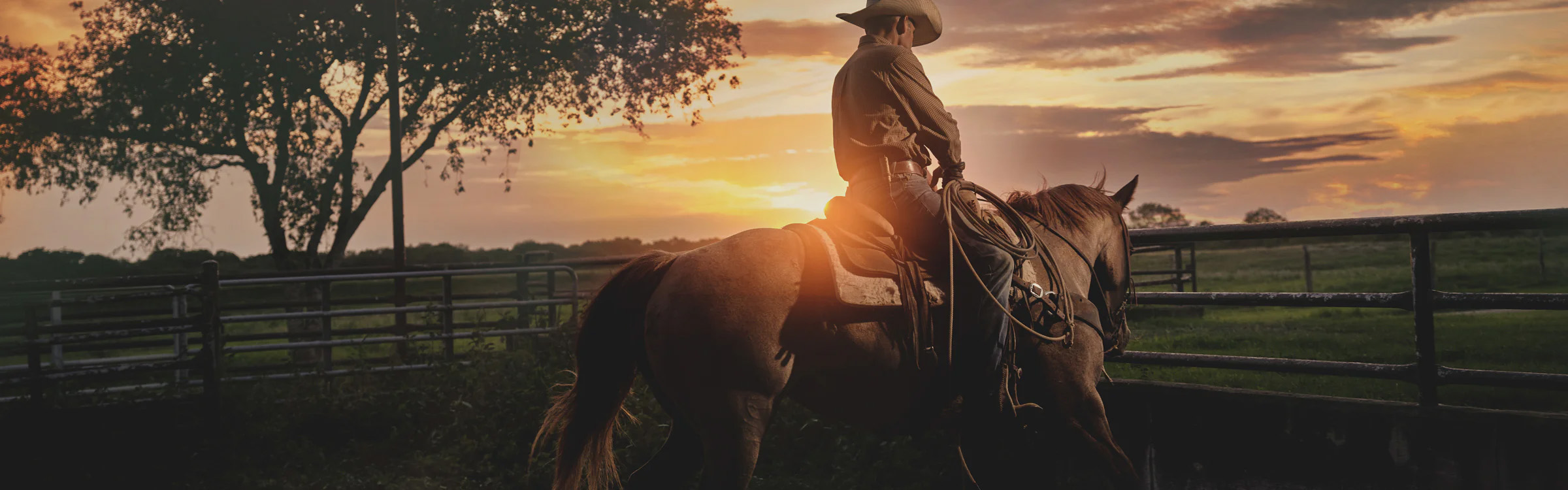 Western Cowboy Equipment Store -Western Cowboy Equipment Store 1